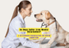Do Dogs Suffer from Mental Retardation? A Veterinary Perspective on Canine Cognition